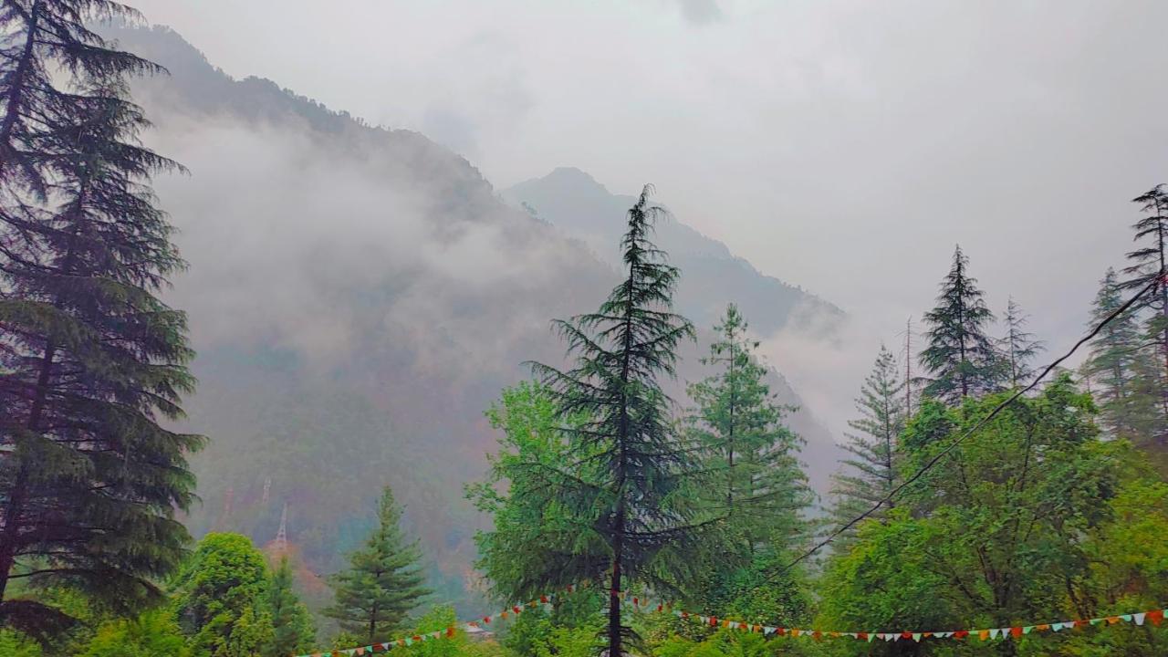 Shanti People Huts & Camp Kasol Εξωτερικό φωτογραφία