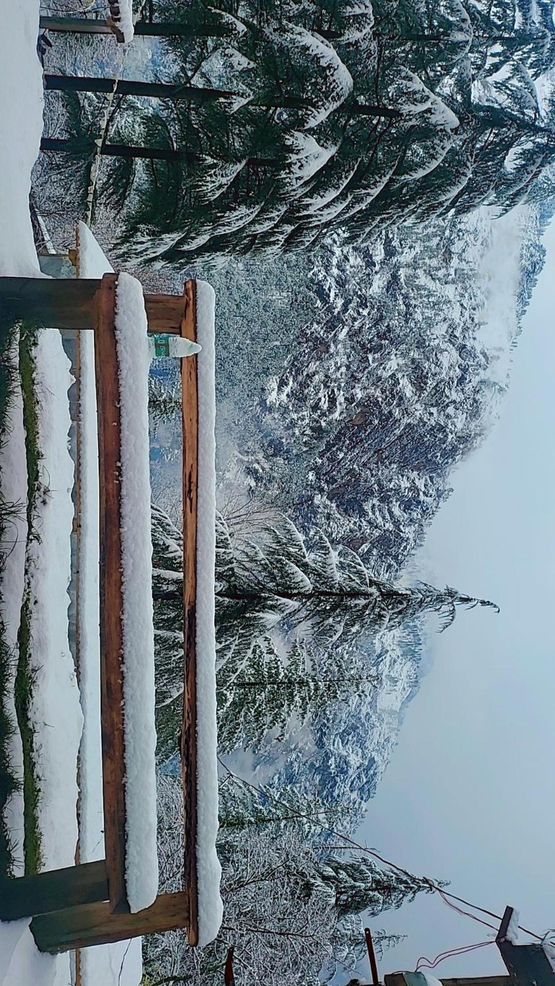 Shanti People Huts & Camp Kasol Εξωτερικό φωτογραφία